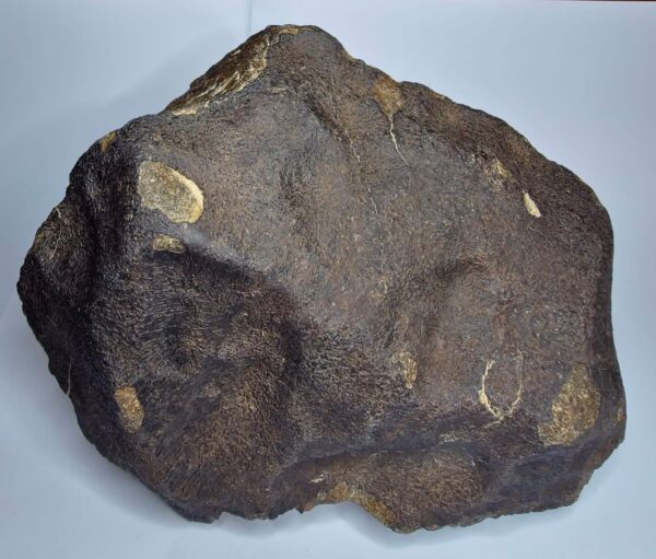 Meteorite